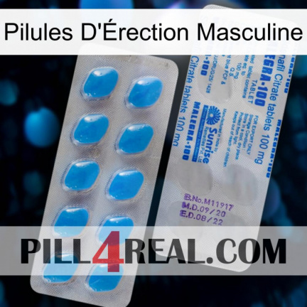 Male Erection Pills new15